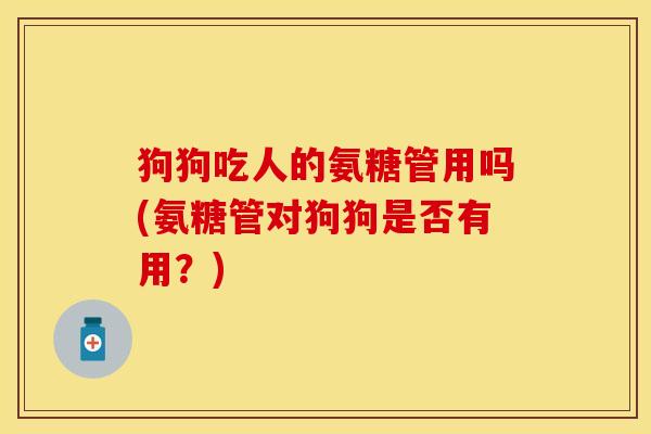 狗狗吃人的氨糖管用吗(氨糖管对狗狗是否有用？)