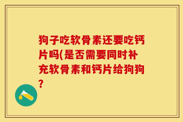 狗子吃软骨素还要吃钙片吗(是否需要同时补充软骨素和钙片给狗狗？