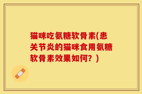 猫咪吃氨糖软骨素(患的猫咪食用氨糖软骨素效果如何?) 猫咪吃氨糖软骨素(患的猫咪食用氨糖软骨素效果如何?)