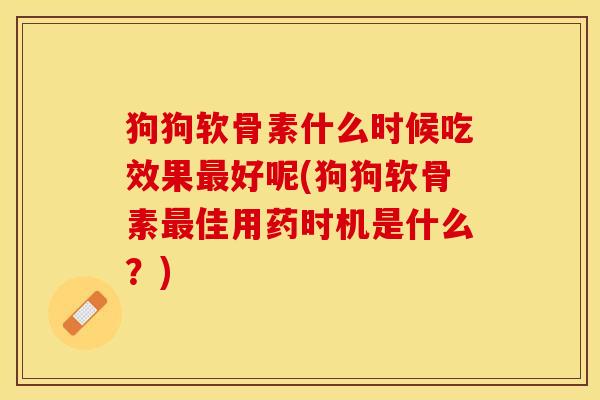 狗狗软骨素什么时候吃效果最好呢(狗狗软骨素最佳用药时机是什么？)