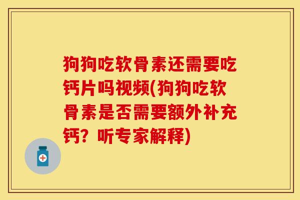 狗狗吃软骨素还需要吃钙片吗视频(狗狗吃软骨素是否需要额外补充钙？听专家解释)
