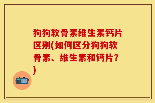 狗狗软骨素维生素钙片区别(如何区分狗狗软骨素、维生素和钙片？)