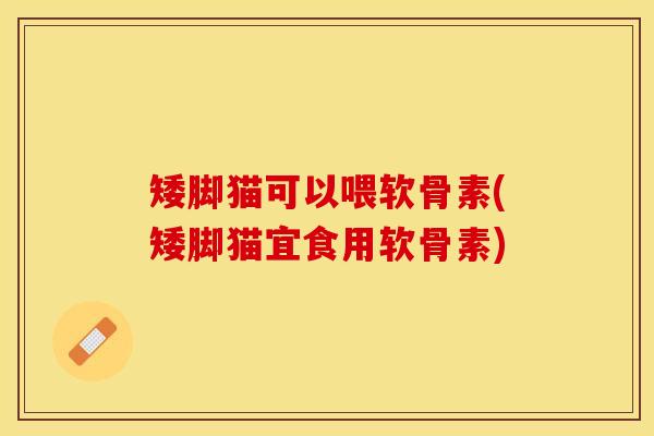 矮脚猫可以喂软骨素(矮脚猫宜食用软骨素)