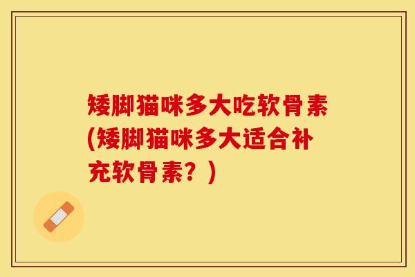 矮脚猫咪多大吃软骨素(矮脚猫咪多大适合补充软骨素？)
