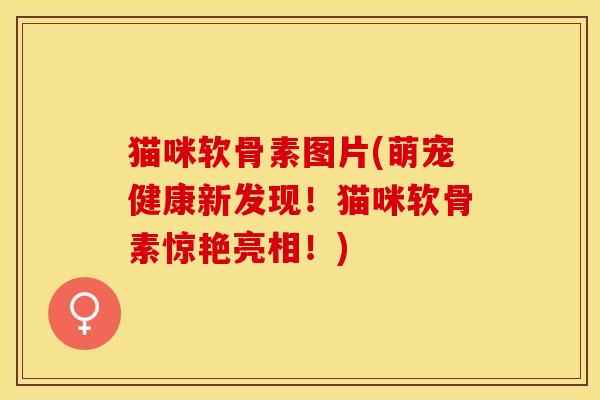 猫咪软骨素图片(萌宠健康新发现!猫咪软骨素惊艳亮相!) 猫咪软骨素图片(萌宠健康新发现!猫咪软骨素惊艳亮相!)