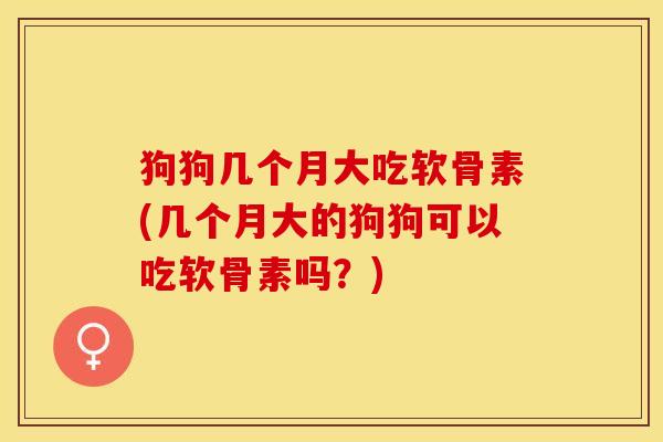 狗狗几个月大吃软骨素(几个月大的狗狗可以吃软骨素吗?) 狗狗几个月大吃软骨素(几个月大的狗狗可以吃软骨素吗?)