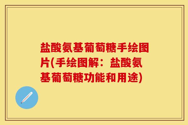 盐酸氨基葡萄糖手绘图片(手绘图解：盐酸氨基葡萄糖功能和用途)