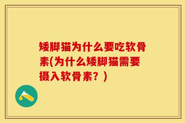 矮脚猫为什么要吃软骨素(为什么矮脚猫需要摄入软骨素?) 矮脚猫为什么要吃软骨素(为什么矮脚猫需要摄入软骨素?)