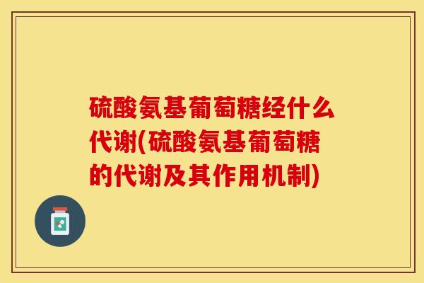 硫酸氨基葡萄糖经什么代谢(硫酸氨基葡萄糖的代谢及其作用机制)
