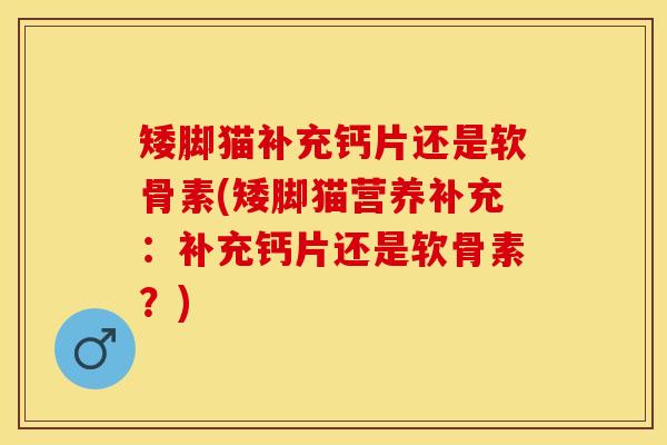 矮脚猫补充钙片还是软骨素(矮脚猫营养补充：补充钙片还是软骨素？)