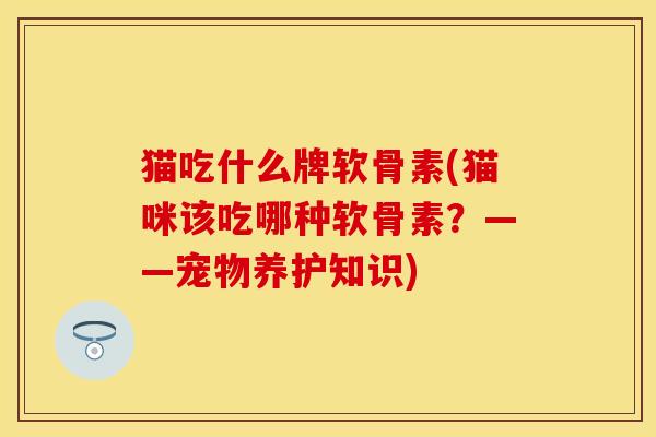 猫吃什么牌软骨素(猫咪该吃哪种软骨素？——宠物养护知识)