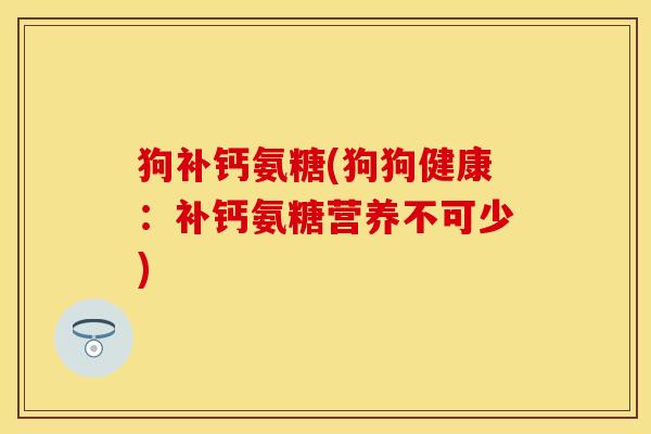 狗补钙氨糖(狗狗健康：补钙氨糖营养不可少)
