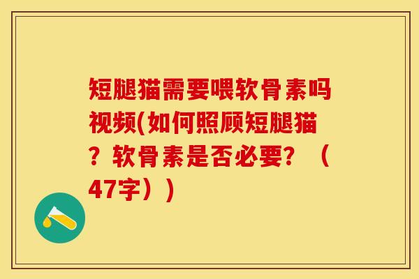 短腿猫需要喂软骨素吗视频(如何照顾短腿猫？软骨素是否必要？（47字）)