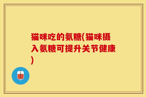 猫咪吃的氨糖(猫咪摄入氨糖可提升关节健康)