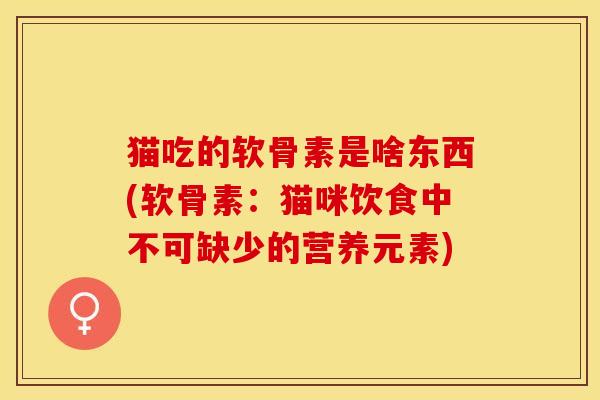 猫吃的软骨素是啥东西(软骨素：猫咪饮食中不可缺少的营养元素)