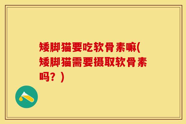 矮脚猫要吃软骨素嘛(矮脚猫需要摄取软骨素吗？)