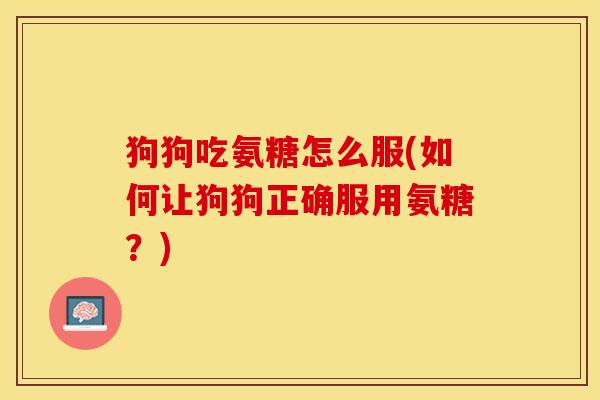 狗狗吃氨糖怎么服(如何让狗狗正确服用氨糖？)