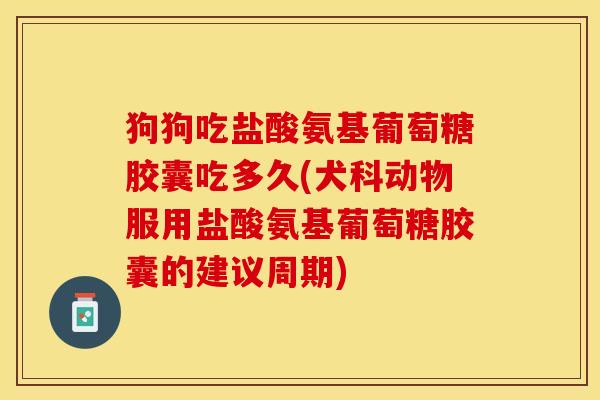 狗狗吃盐酸氨基葡萄糖胶囊吃多久(犬科动物服用盐酸氨基葡萄糖胶囊的建议周期)