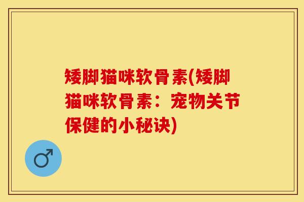 矮脚猫咪软骨素(矮脚猫咪软骨素:宠物关节保健的小秘诀) 矮脚猫咪软骨素(矮脚猫咪软骨素:宠物关节保健的小秘诀)