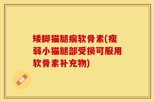 矮脚猫腿瘸软骨素(瘦弱小猫腿部受损可服用软骨素补充物)