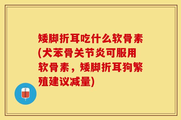 矮脚折耳吃什么软骨素(犬苯骨关节炎可服用软骨素，矮脚折耳狗繁殖建议减量)