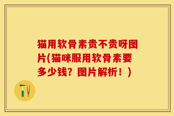 猫用软骨素贵不贵呀图片(猫咪服用软骨素要多少钱?图片解析!) 猫用软骨素贵不贵呀图片(猫咪服用软骨素要多少钱?图片解析!)