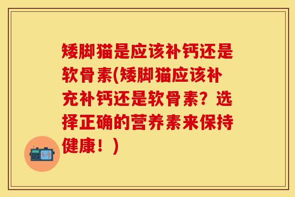 矮脚猫是应该补钙还是软骨素(矮脚猫应该补充补钙还是软骨素?选择正确的营养素来保持健康!) 矮脚猫是应该补钙还是软骨素(矮脚猫应该补充补钙还是软骨素?选择正确的营养素来保持健康!)