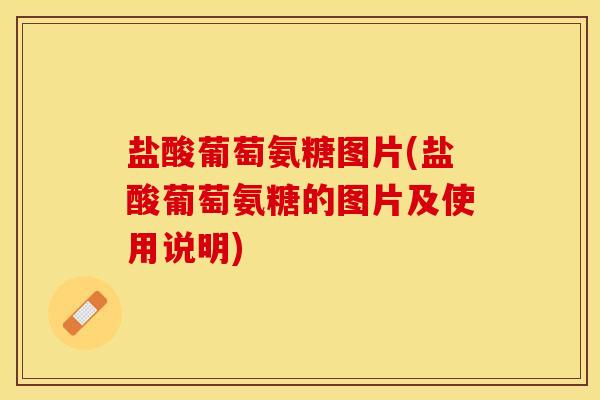 盐酸葡萄氨糖图片(盐酸葡萄氨糖的图片及使用说明)