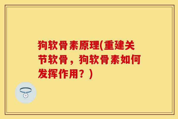 狗软骨素原理(重建关节软骨，狗软骨素如何发挥作用？)
