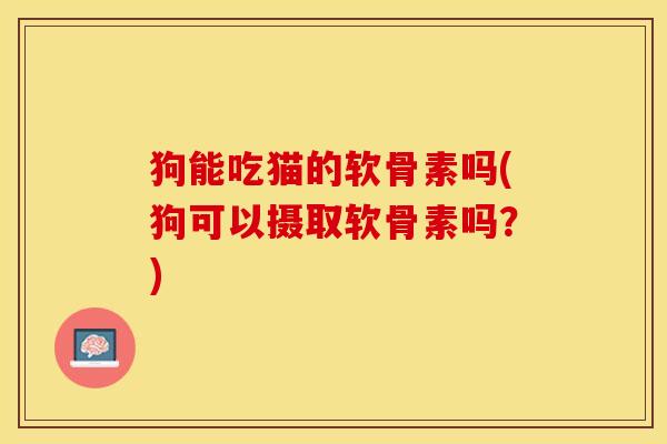 狗能吃猫的软骨素吗(狗可以摄取软骨素吗？)