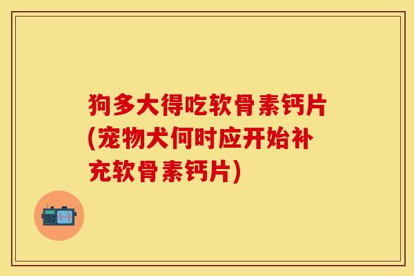 狗多大得吃软骨素钙片(宠物犬何时应开始补充软骨素钙片)