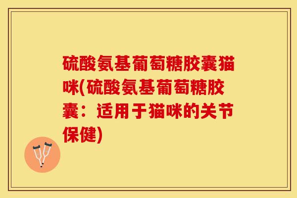 硫酸氨基葡萄糖胶囊猫咪(硫酸氨基葡萄糖胶囊:适用于猫咪的关节保健) 硫酸氨基葡萄糖胶囊猫咪(硫酸氨基葡萄糖胶囊:适用于猫咪的关节保健)