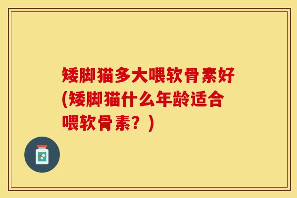 矮脚猫多大喂软骨素好(矮脚猫什么年龄适合喂软骨素？)