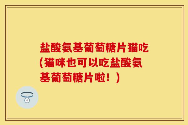 盐酸氨基葡萄糖片猫吃(猫咪也可以吃盐酸氨基葡萄糖片啦！)