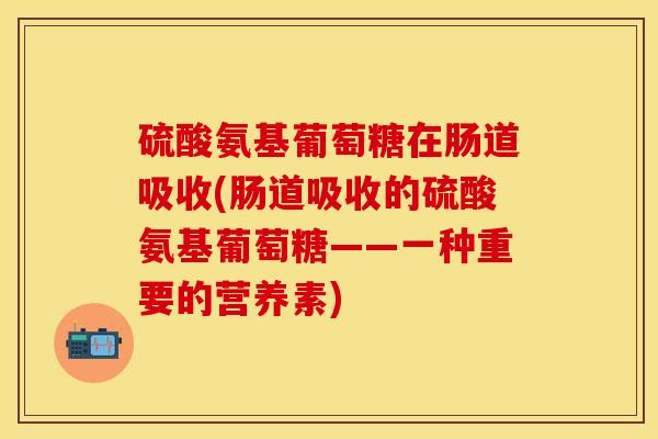 硫酸氨基葡萄糖在肠道吸收(肠道吸收的硫酸氨基葡萄糖——一种重要的营养素)