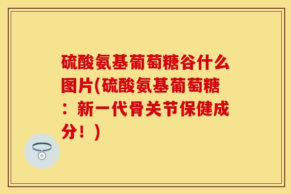 硫酸氨基葡萄糖谷什么图片(硫酸氨基葡萄糖：新一代骨关节保健成分！)