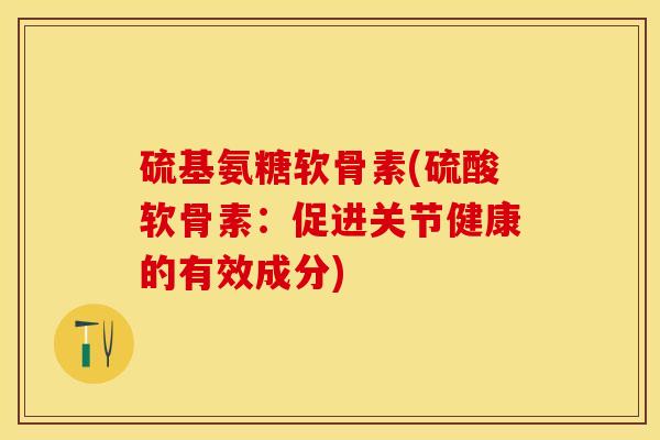 硫基氨糖软骨素(硫酸软骨素：促进关节健康的有效成分)