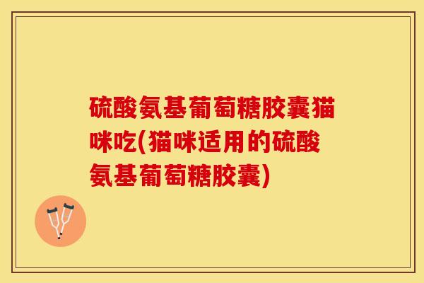 硫酸氨基葡萄糖胶囊猫咪吃(猫咪适用的硫酸氨基葡萄糖胶囊)