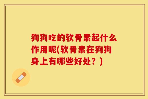 狗狗吃的软骨素起什么作用呢(软骨素在狗狗身上有哪些好处？)