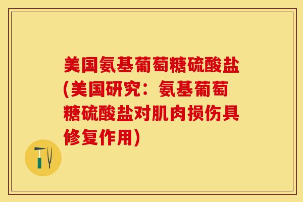 美国氨基葡萄糖硫酸盐(美国研究：氨基葡萄糖硫酸盐对肌肉损伤具修复作用)