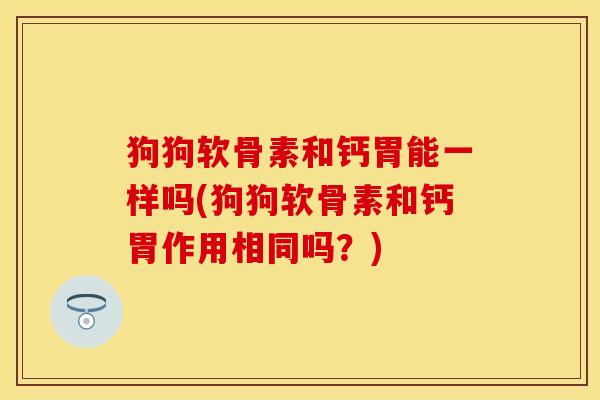 狗狗软骨素和钙胃能一样吗(狗狗软骨素和钙胃作用相同吗？)