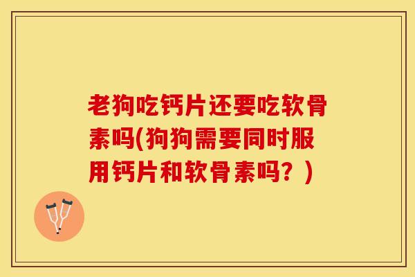 老狗吃钙片还要吃软骨素吗(狗狗需要同时服用钙片和软骨素吗？)