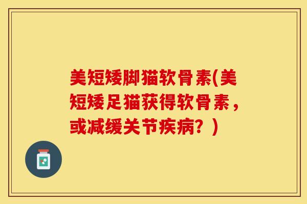 美短矮脚猫软骨素(美短矮足猫获得软骨素,或减缓关节?) 美短矮脚猫软骨素(美短矮足猫获得软骨素,或减缓关节?)