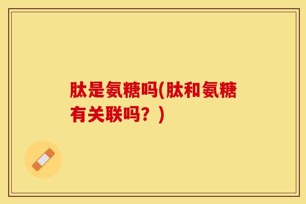 肽是氨糖吗(肽和氨糖有关联吗？)