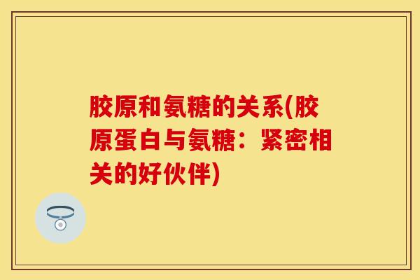胶原和氨糖的关系(胶原蛋白与氨糖：紧密相关的好伙伴)