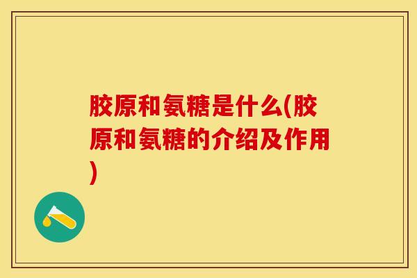 胶原和氨糖是什么(胶原和氨糖的介绍及作用)