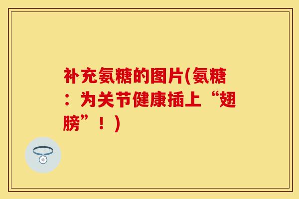 补充氨糖的图片(氨糖：为关节健康插上“翅膀”！)