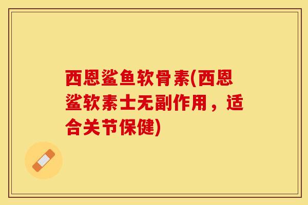 西恩鲨鱼软骨素(西恩鲨软素士无副作用，适合关节保健)