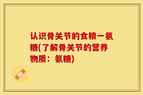 认识骨关节的食粮一氨糖(了解骨关节的营养物质：氨糖)