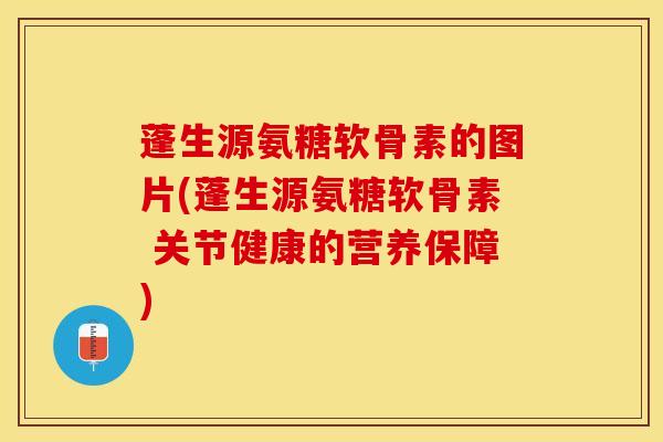 蓬生源氨糖软骨素的图片(蓬生源氨糖软骨素 关节健康的营养保障)